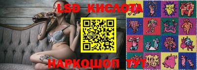 дживик Шелехов