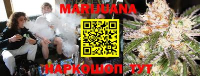 сатива Шебекино