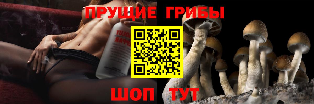 Карталы  Галлюциногенные грибы Psilocybine cubensis  Вход с VPN 